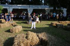 Mini IMG 5465